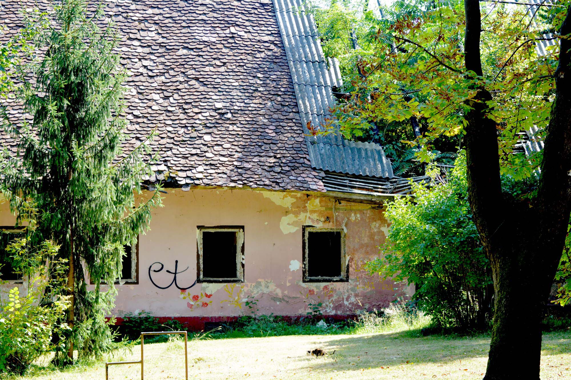 Josip Držaić Koalicija Za Premijera Izbori 2016 Zaprešić 161